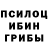 Галлюциногенные грибы GOLDEN TEACHER Stolbunow