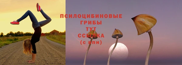 MESCALINE Арсеньев