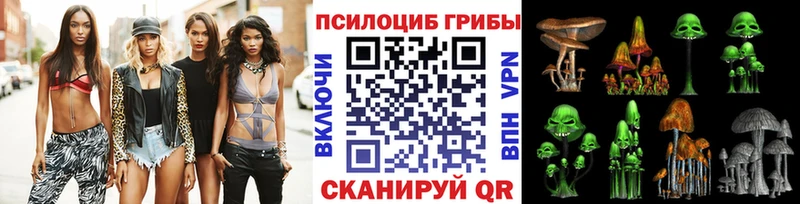 купить  цена  блэк спрут tor  Галлюциногенные грибы прущие грибы  Палласовка 